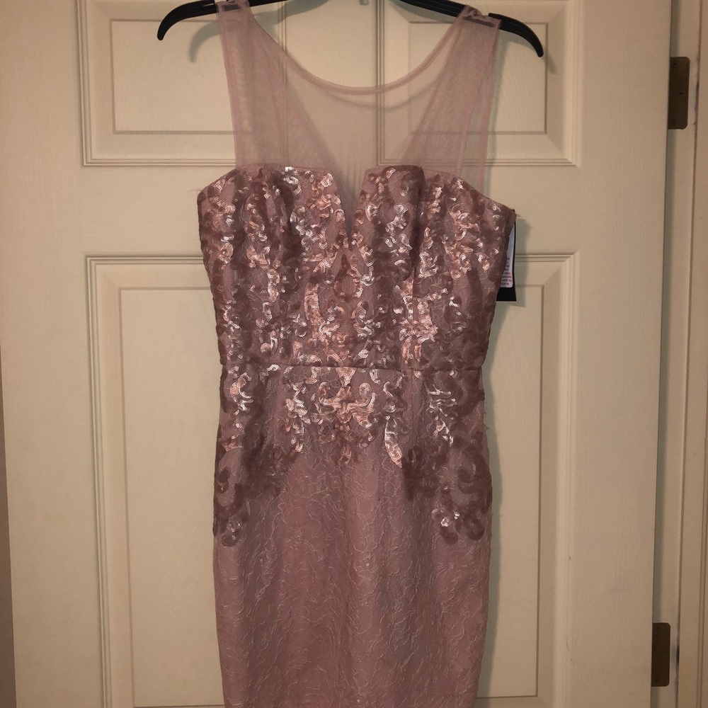 Blush pink BCBG Mazazria dress